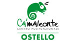 Ostello Camaleonte